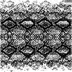 Leopards & Snakes Stamps Bundle