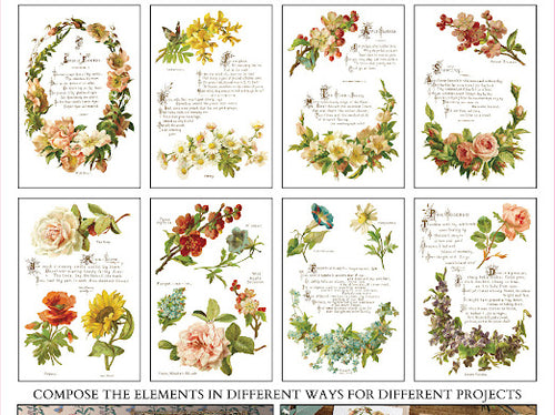 Lover of Flowers transfer by Iron Orchid Designs 12 x 16" (pad of 8 sheets) for furniture, crafts and decor