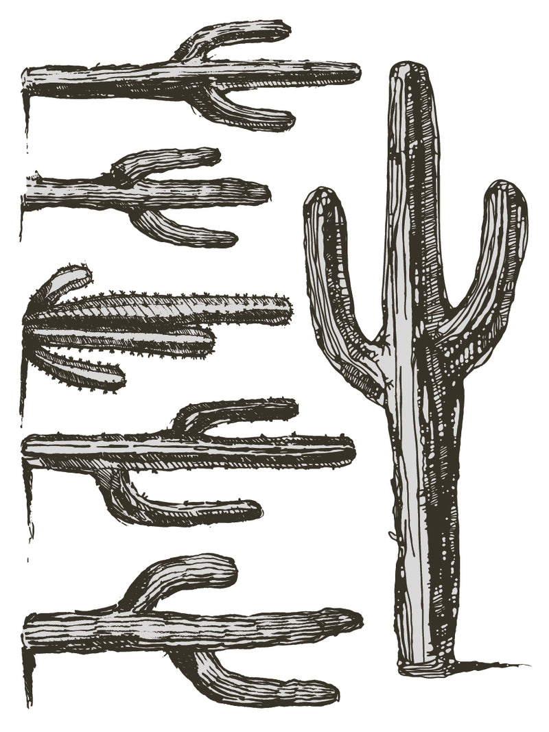 Desperado Decor Transfer - Iron Orchid Designs UK