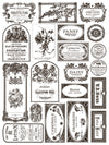 FLORIOGRAPHY IRON ORCHID DESIGNS Paint Inlay -  8 page 12x16 inch (Limited Edition)