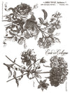 FLORIOGRAPHY IRON ORCHID DESIGNS Paint Inlay -  8 page 12x16 inch (Limited Edition)