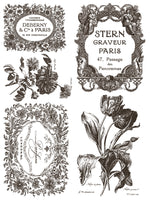 FLORIOGRAPHY IRON ORCHID DESIGNS Paint Inlay -  8 page 12x16 inch (Limited Edition)