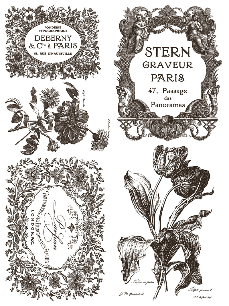 FLORIOGRAPHY IRON ORCHID DESIGNS Paint Inlay -  8 page 12x16 inch (Limited Edition)