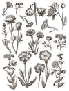 FLORIOGRAPHY IRON ORCHID DESIGNS Paint Inlay -  8 page 12x16 inch (Limited Edition)