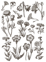 FLORIOGRAPHY IRON ORCHID DESIGNS Paint Inlay -  8 page 12x16 inch (Limited Edition)