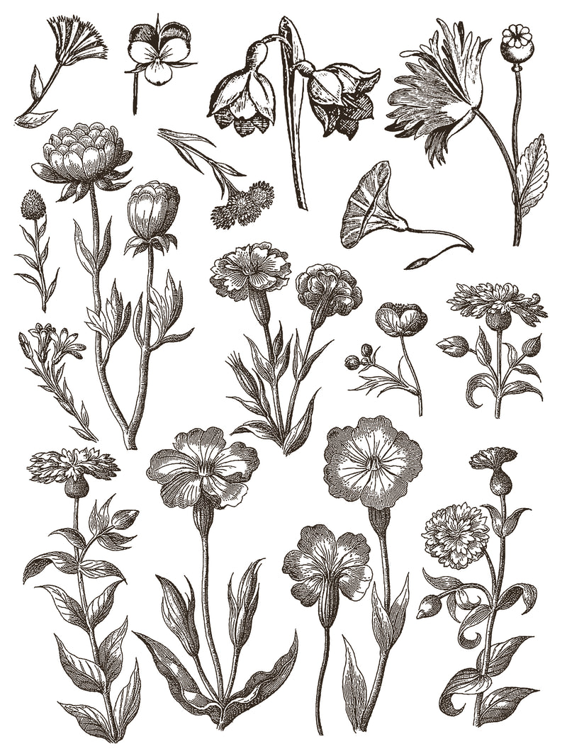 FLORIOGRAPHY IRON ORCHID DESIGNS Paint Inlay -  8 page 12x16 inch (Limited Edition)