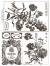 FLORIOGRAPHY IRON ORCHID DESIGNS Paint Inlay -  8 page 12x16 inch (Limited Edition)