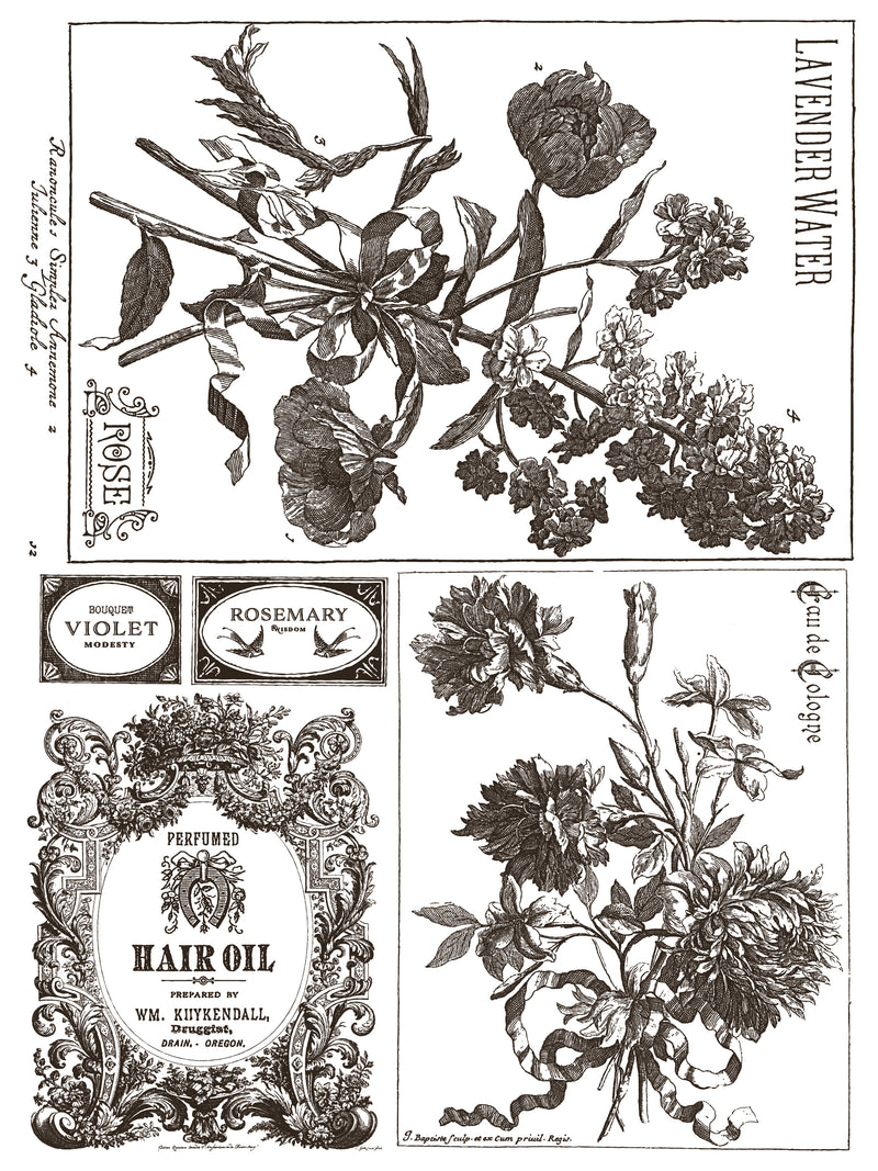 FLORIOGRAPHY IRON ORCHID DESIGNS Paint Inlay -  8 page 12x16 inch (Limited Edition)