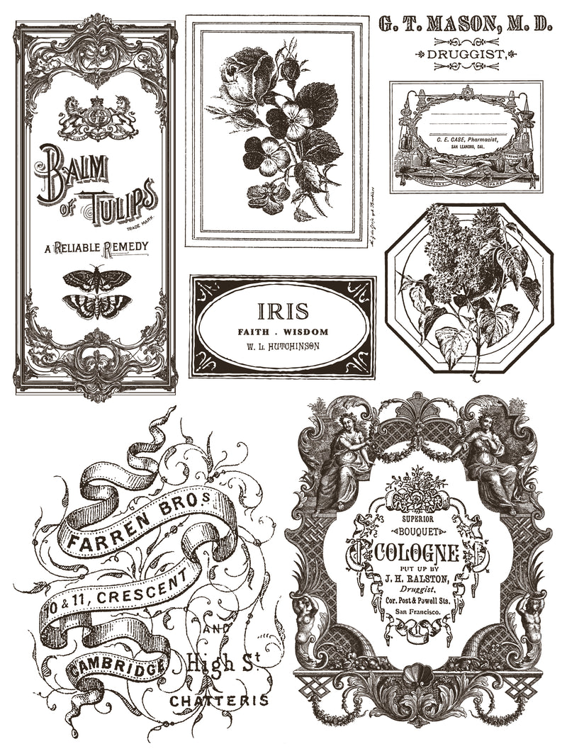 FLORIOGRAPHY IRON ORCHID DESIGNS Paint Inlay -  8 page 12x16 inch (Limited Edition)
