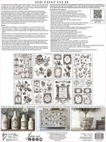 FLORIOGRAPHY IRON ORCHID DESIGNS Paint Inlay -  8 page 12x16 inch (Limited Edition)