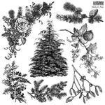 Black and white illustration of holly, pine, and other winter elements on a white background.