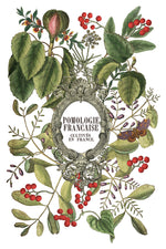 Clementine Decor Transfer - Iron Orchid Designs UK