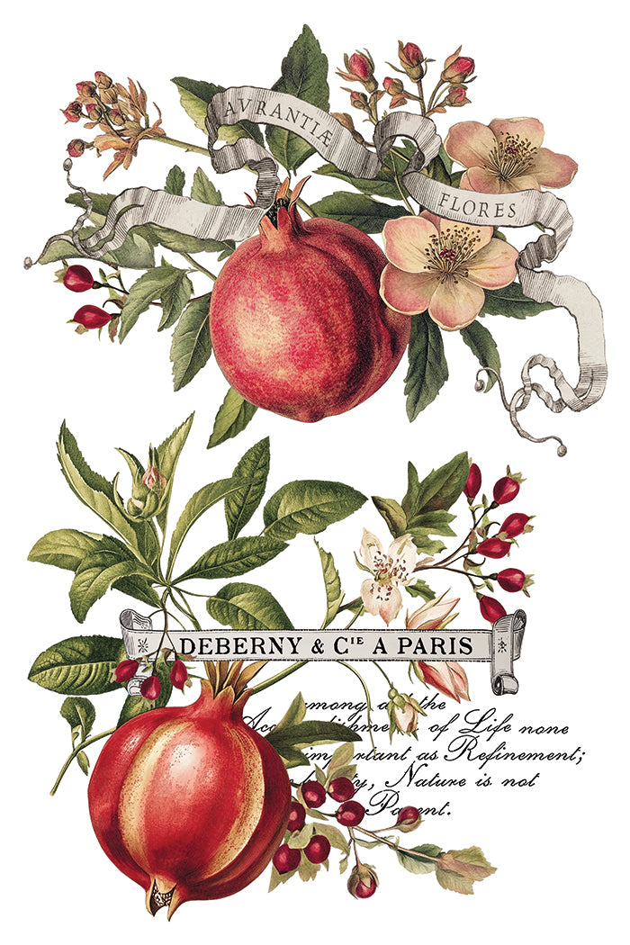 Clementine Decor Transfer - Iron Orchid Designs UK