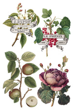 Clementine Decor Transfer - Iron Orchid Designs UK