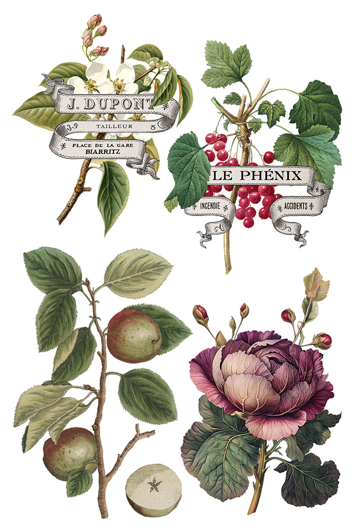 Clementine Decor Transfer - Iron Orchid Designs UK