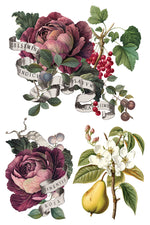 Clementine Decor Transfer - Iron Orchid Designs UK