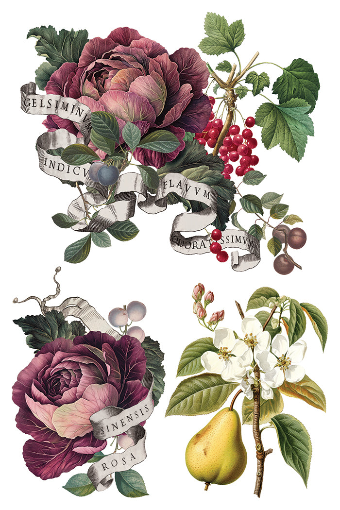Clementine Decor Transfer - Iron Orchid Designs UK