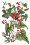 Clementine Decor Transfer - Iron Orchid Designs UK