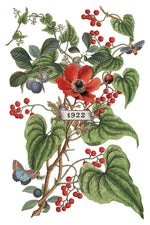 Clementine Decor Transfer - Iron Orchid Designs UK