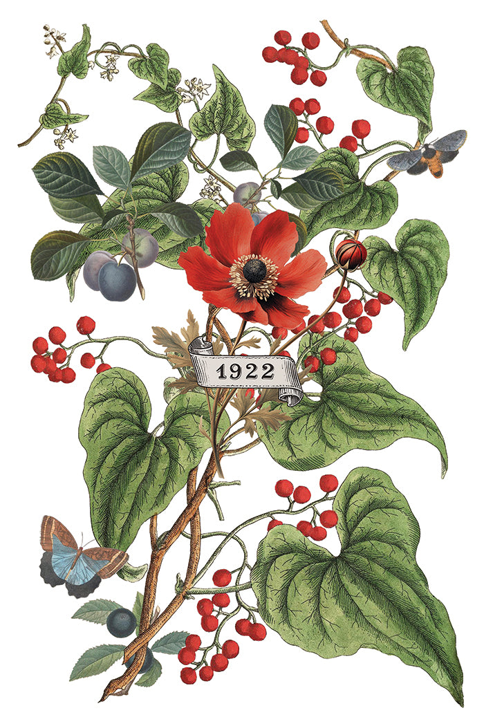 Clementine Decor Transfer - Iron Orchid Designs UK