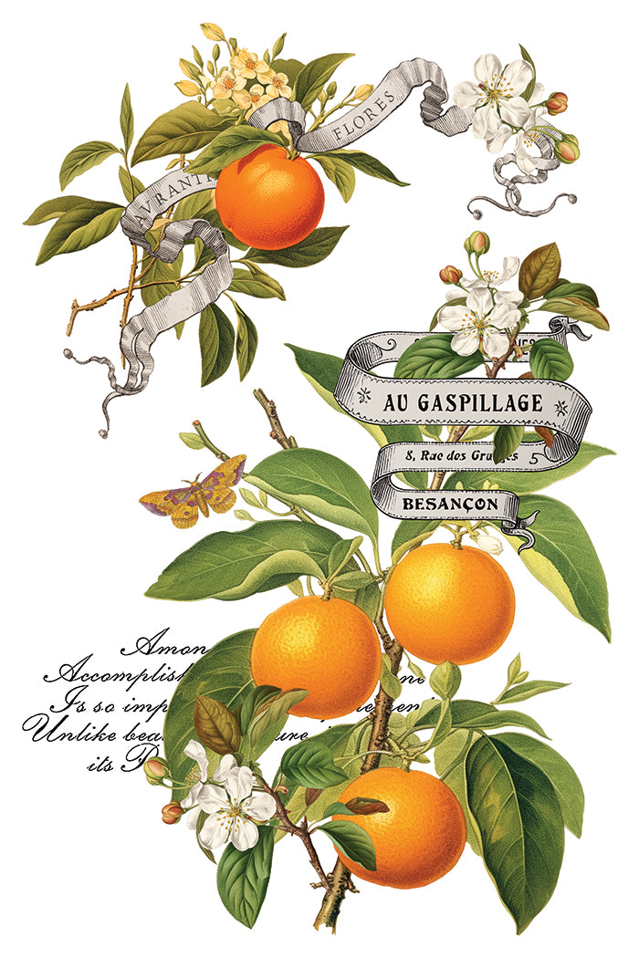 Clementine Decor Transfer - Iron Orchid Designs UK