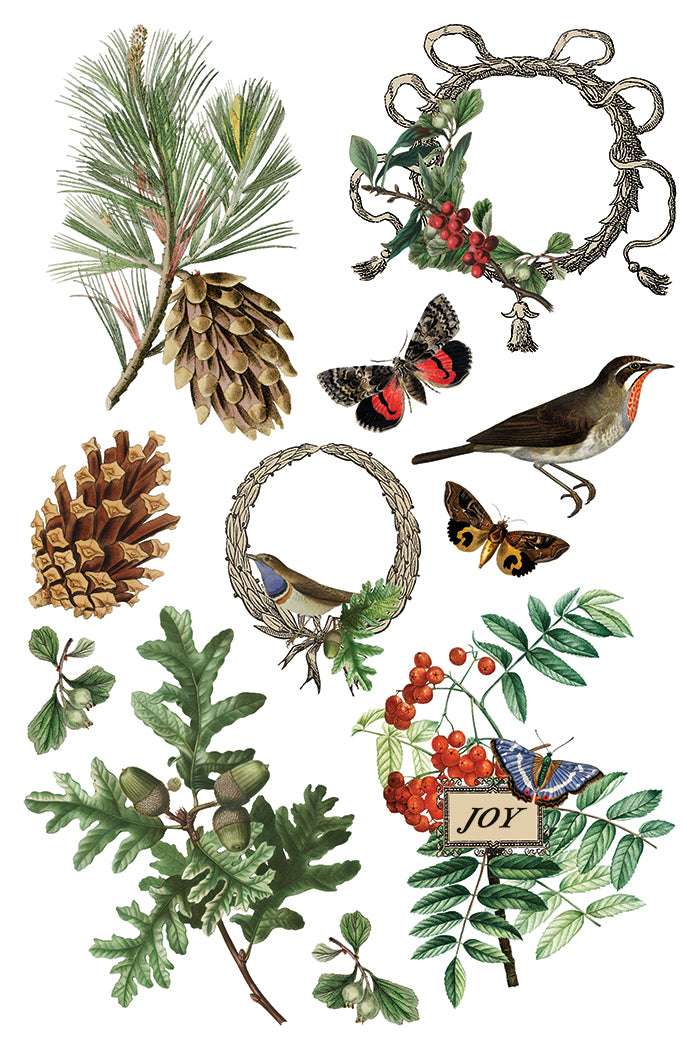 Winter Botanist Decor Transfer - Iron Orchid Designs UK