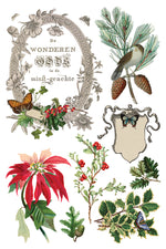 Winter Botanist Decor Transfer - Iron Orchid Designs UK