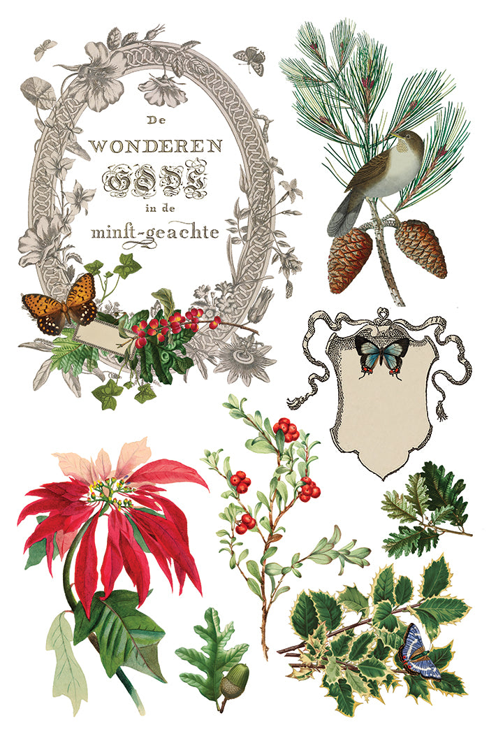 Winter Botanist Decor Transfer - Iron Orchid Designs UK