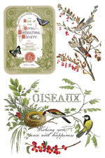 Winter Botanist Decor Transfer - Iron Orchid Designs UK