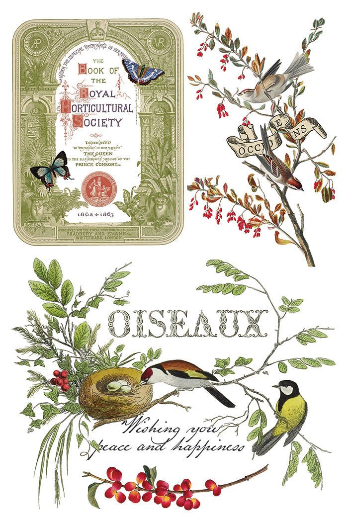 Winter Botanist Decor Transfer - Iron Orchid Designs UK