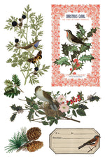 Winter Botanist Decor Transfer - Iron Orchid Designs UK