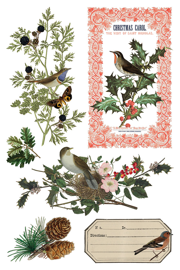 Winter Botanist Decor Transfer - Iron Orchid Designs UK