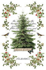 Winter Botanist Decor Transfer - Iron Orchid Designs UK