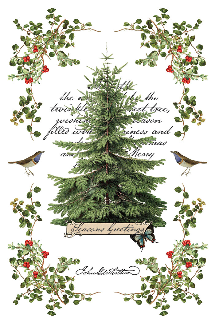 Winter Botanist Decor Transfer - Iron Orchid Designs UK