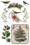 Winter Botanist Decor Transfer - Iron Orchid Designs UK