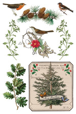 Winter Botanist Decor Transfer - Iron Orchid Designs UK
