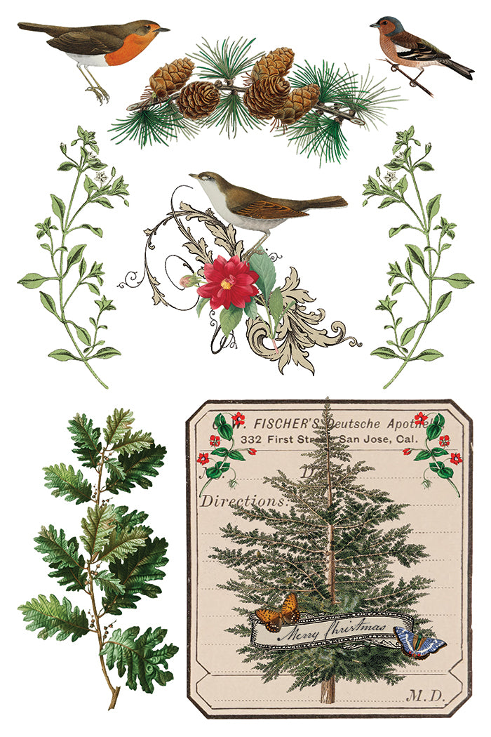 Winter Botanist Decor Transfer - Iron Orchid Designs UK