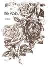 MAY’S ROSES Decor transfer by Iron Orchid Designs 12 x 16" (pad of 4 sheets) for furniture, crafts and decor