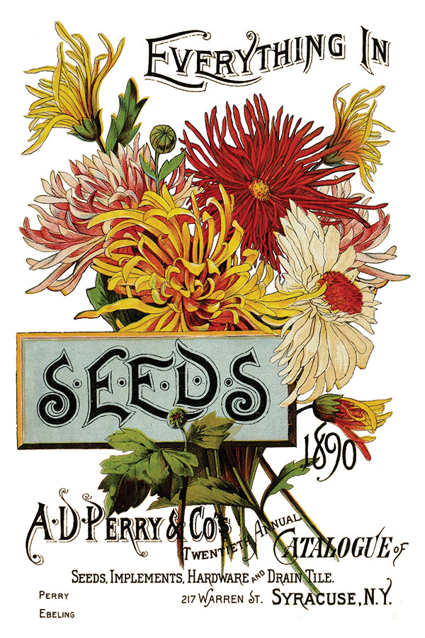 SEED CATALOGUE transfer by Iron Orchid Designs (pad of 8 sheets, 8" x 12") for furniture, crafts and decor