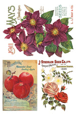 SEED CATALOGUE transfer by Iron Orchid Designs (pad of 8 sheets, 8" x 12") for furniture, crafts and decor