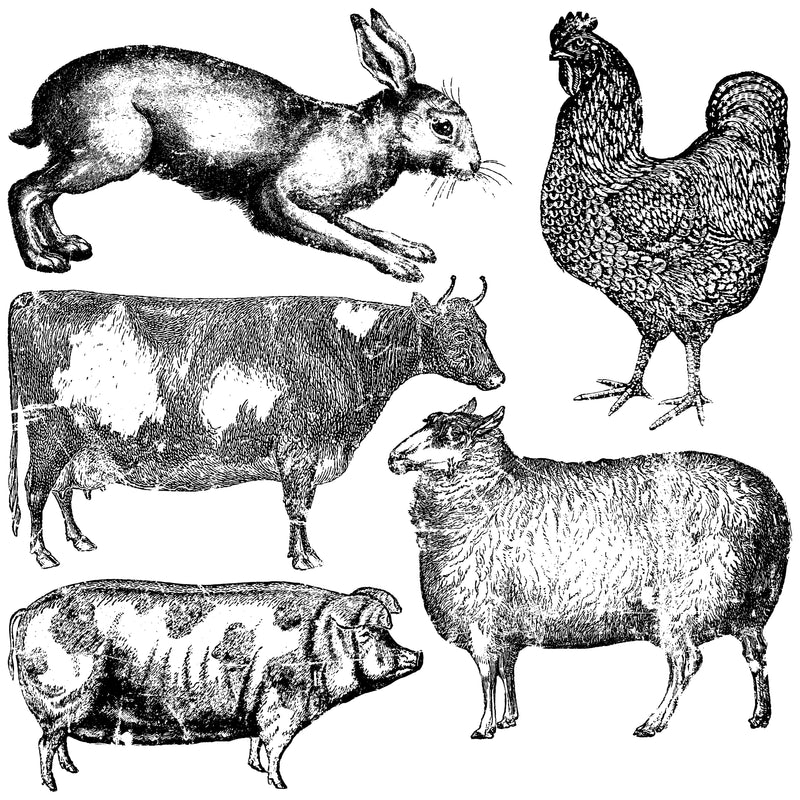 Farm Animals Decor Stamp by Iron Orchid Designs - Ink, Chalk Paint, Furniture Craft Stamp 12"x12"