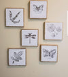 Butterflies Decor Stamp by Iron Orchid Designs - Ink, Chalk Paint, Furniture Craft Stamp 12"x12"