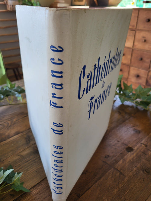 Fabulous Vintage Book - Cathedrales de France