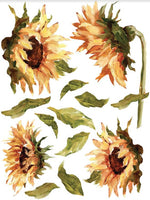 Painterly Florals transfer by Iron Orchid Designs 12 x 16" (pad of 8 sheets) for furniture, crafts and decor