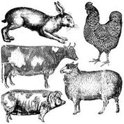 IOD - Decor Stamps - Farm Animals 12" x 12"" - Doodledash