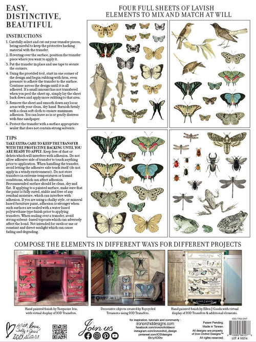 Entomology Decor transfer by Iron Orchid Designs 12 x 16" (pad of 4 sheets) for furniture, crafts and decor