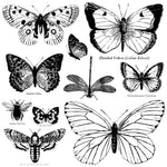 Butterflies Decor Stamp by Iron Orchid Designs - Ink, Chalk Paint, Furniture Craft Stamp 12"x12"