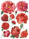 Redoute II transfer by Iron Orchid Designs 12 x 16" (pad of 8 sheets) for furniture, crafts and decor