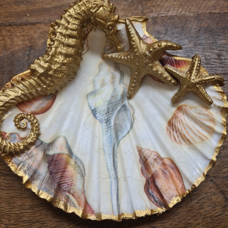Sea Shells Decor Furniture Mould by Iron Orchid Designs - Clay, Resin, Hot Glue